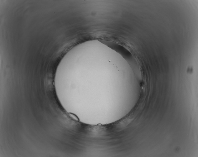 X0000091900670200710031823