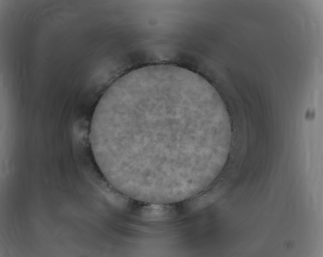 X0000091900672200710031823