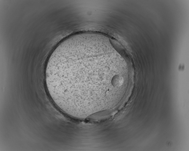 X0000091900673200710031823