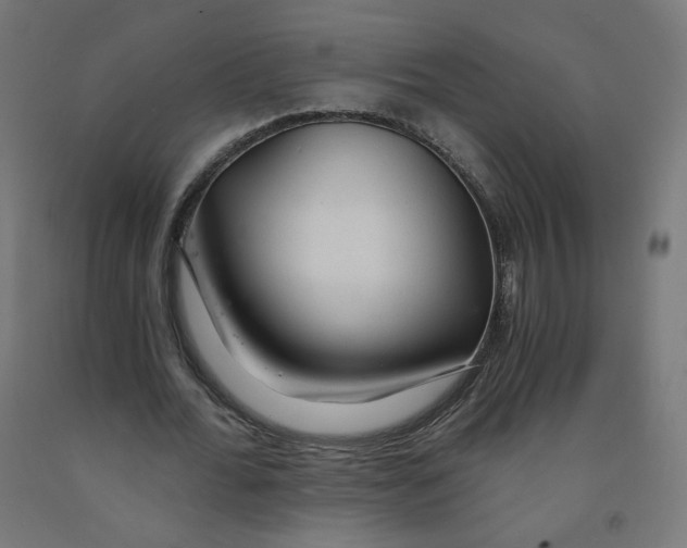 X0000091900676200710031823