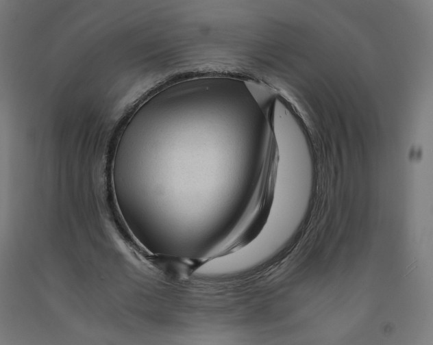 X0000091900677200710031823