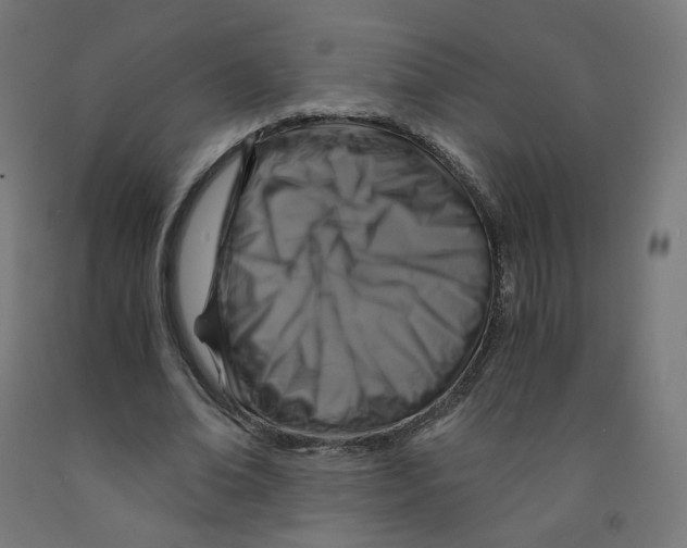 X0000091900678200710031823