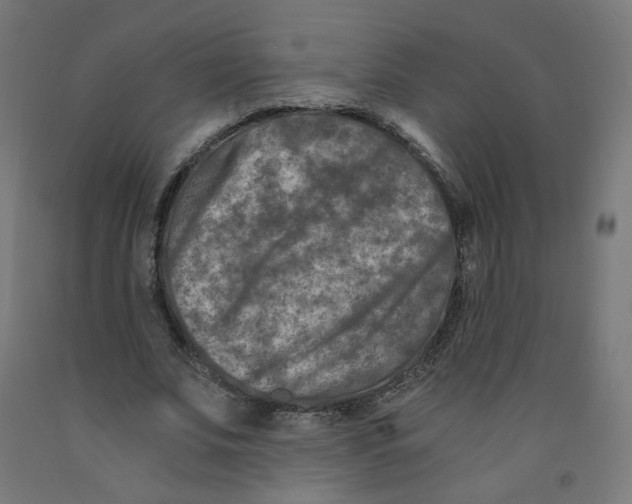 X0000091900679200710031823