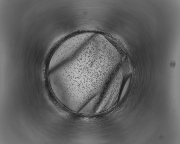 X0000091900680200710031822