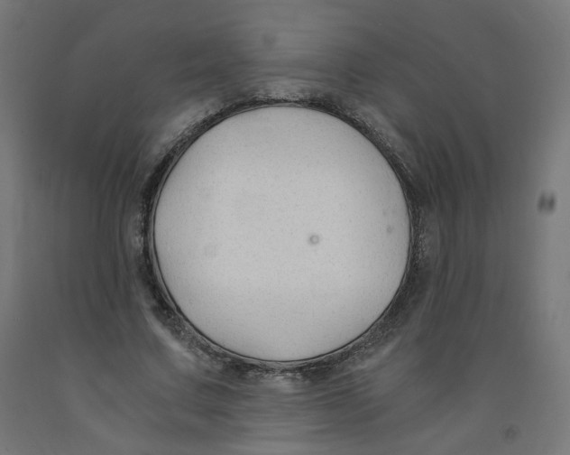 X0000091900683200710031822