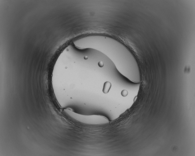 X0000091900684200710031822