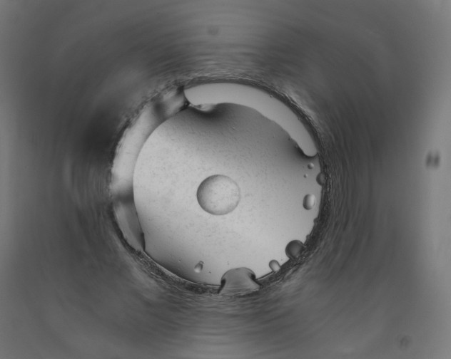 X0000091900685200710031822