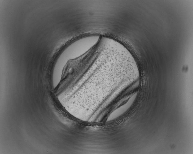 X0000091900688200710031822