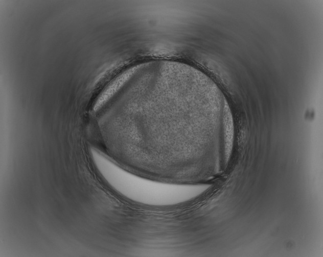 X0000091900689200710031822