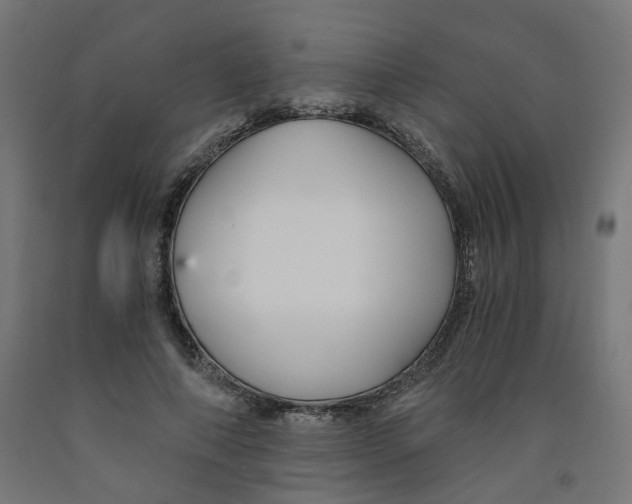 X0000091900690200710031822