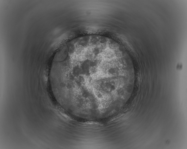 X0000091900691200710031822