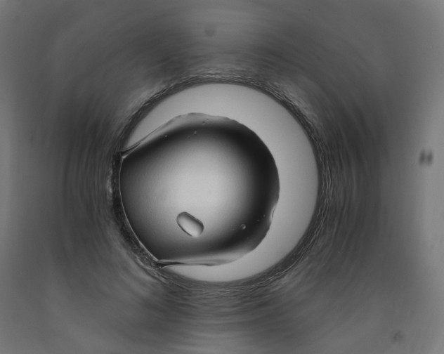 X0000091900692200710031822