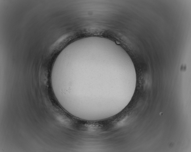 X0000091900693200710031822