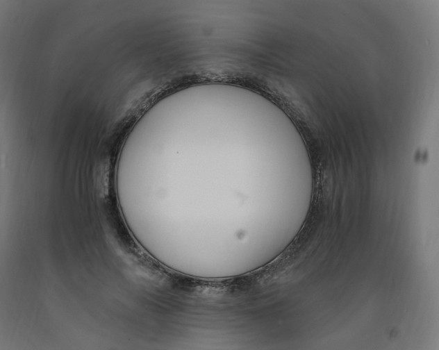 X0000091900694200710031822