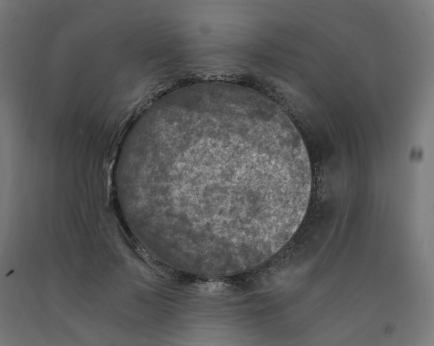 X0000091900695200710031822