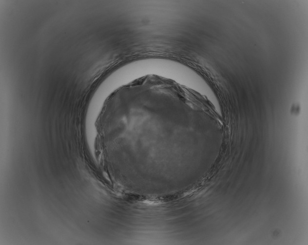 X0000091900696200710031822