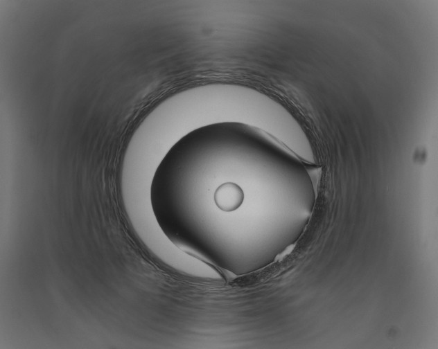 X0000091900697200710031822