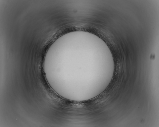 X0000091900698200710031822