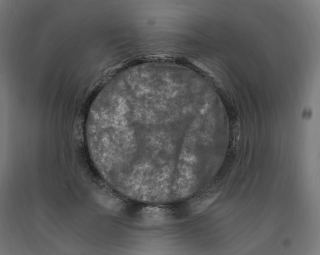 X0000091900699200710031822