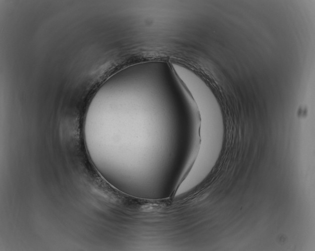 X0000091900700200710031822