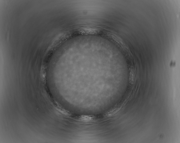 X0000091900701200710031822