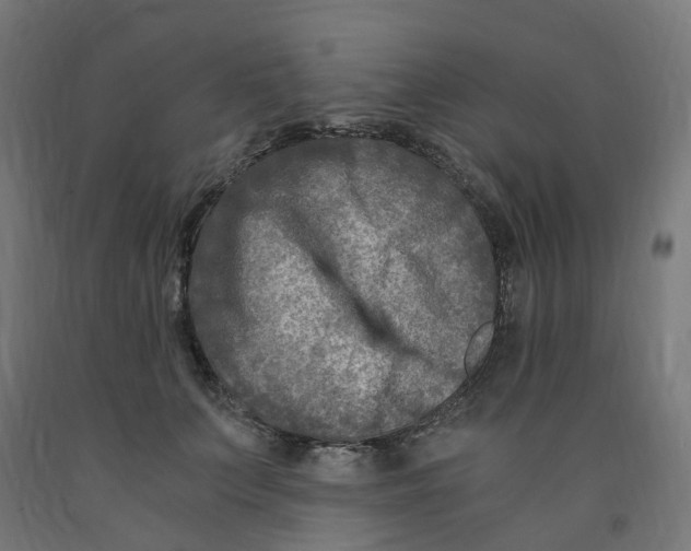 X0000091900703200710031822