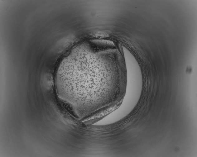 X0000091900704200710031822