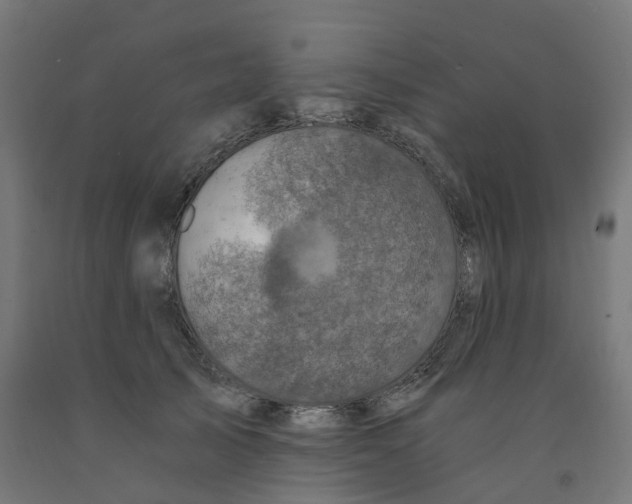 X0000091900705200710031822