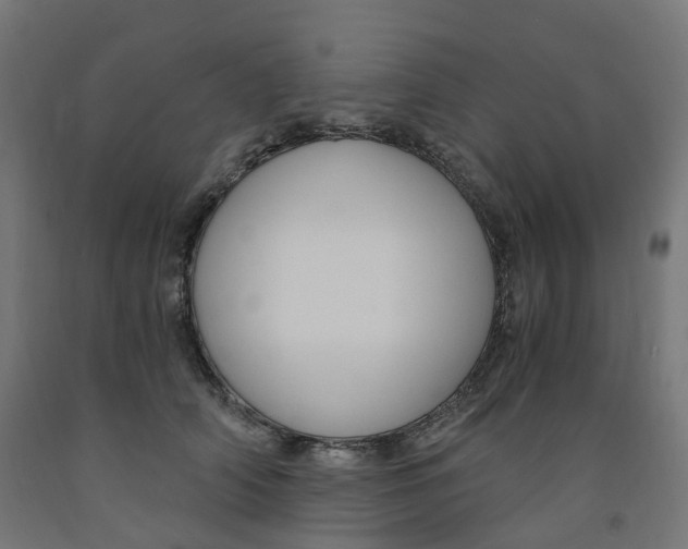 X0000091900706200710031822