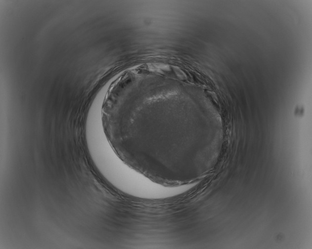 X0000091900708200710031822