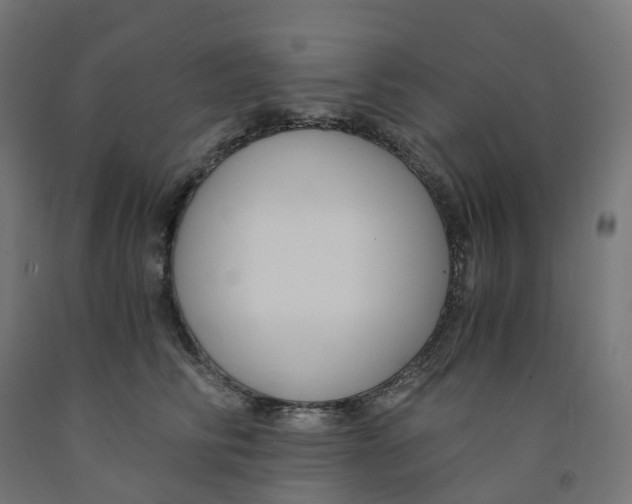 X0000091900710200710031822