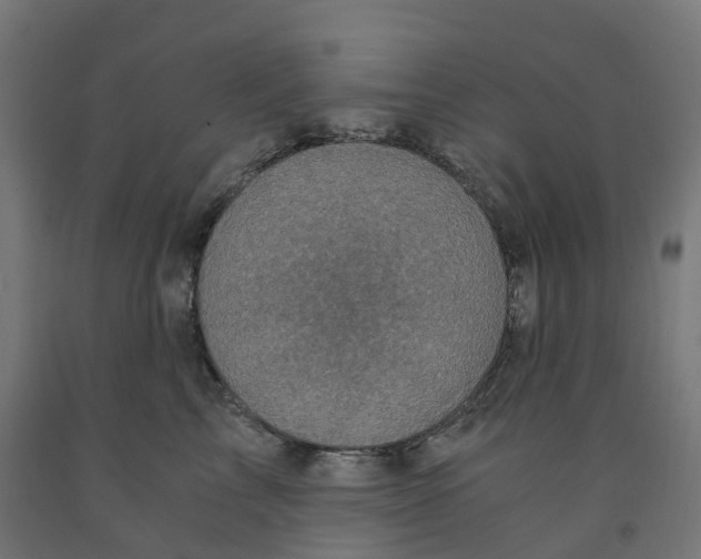 X0000091900713200710031822