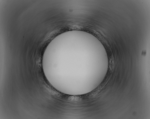 X0000091900714200710031822