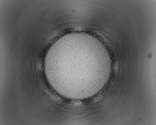 X0000091900715200710031822