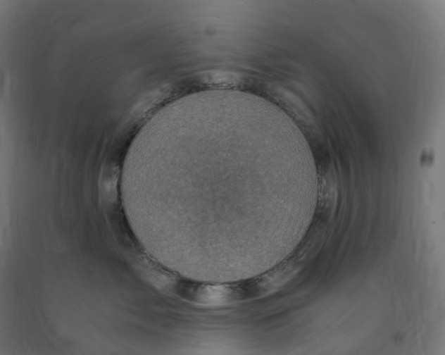 X0000091900717200710031822