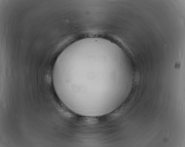 X0000091900719200710031822