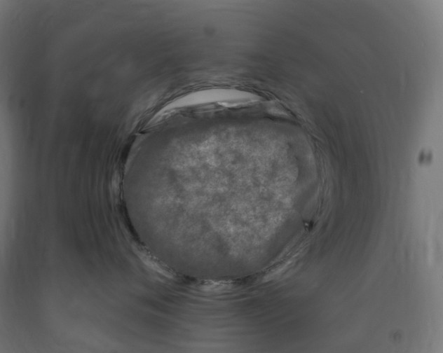 X0000091900720200710031822