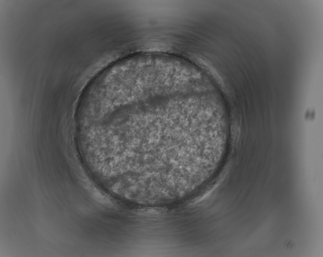 X0000091900721200710031821