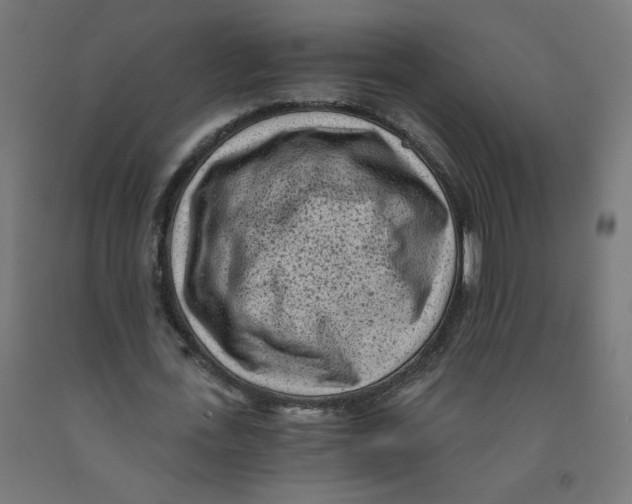 X0000091900723200710031821