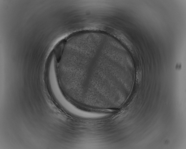 X0000091900724200710031821