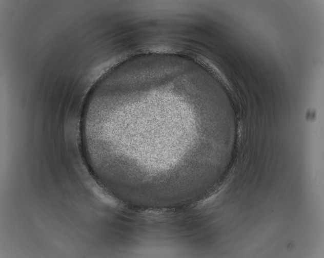 X0000091900725200710031821