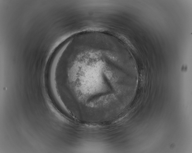 X0000091900726200710031821