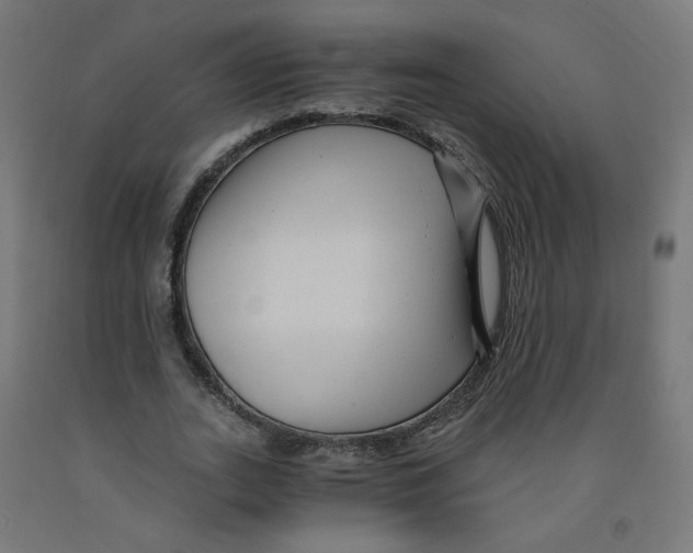 X0000091900727200710031821