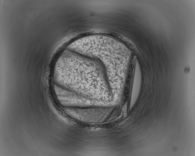 X0000091900730200710031822