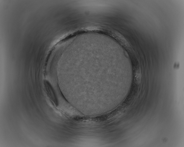 X0000091900732200710031822