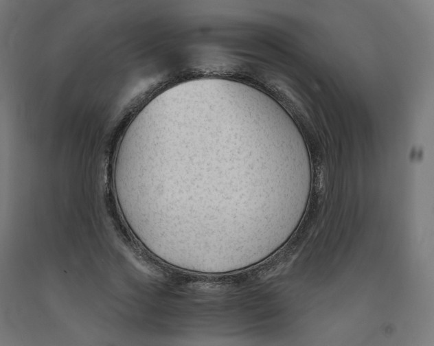 X0000091900733200710031822