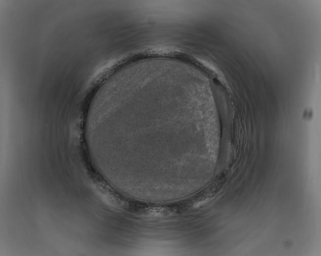 X0000091900736200710031822