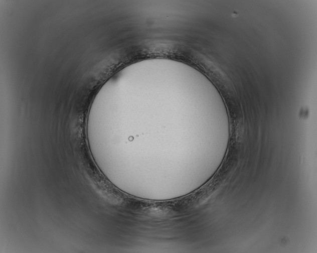 X0000091900737200710031822