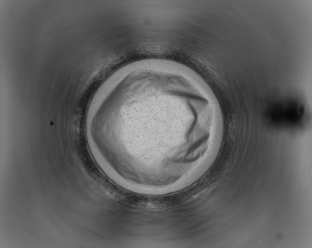 X0000091900739200710031822