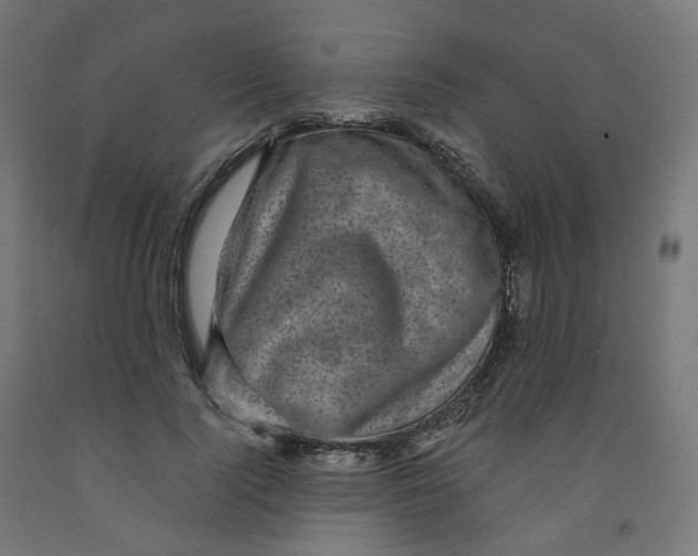 X0000091900740200710031822